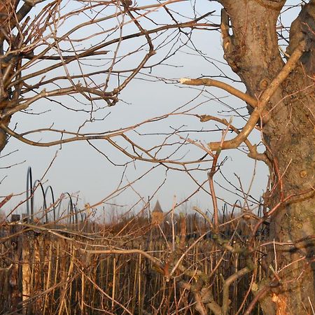 De Betuwe Hotel Asch Zewnętrze zdjęcie
